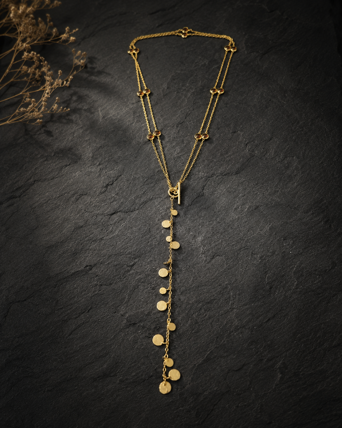 Payal Gold-Plated Silver Garnet Disc Lariat