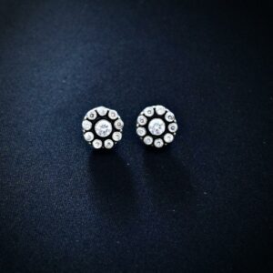 Zircon circle earrings in Silver 1